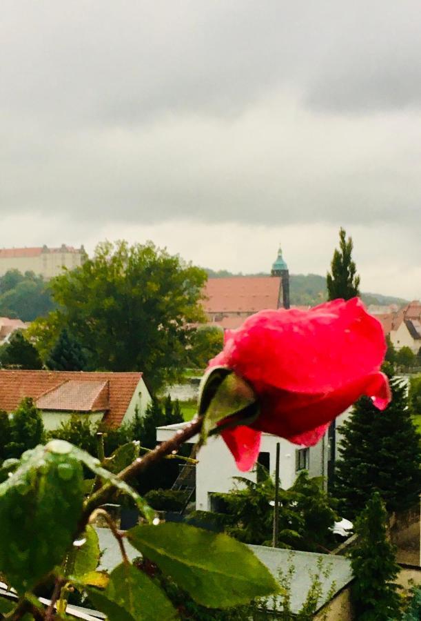 Ferienwohnung Pirna-Panorama Екстер'єр фото